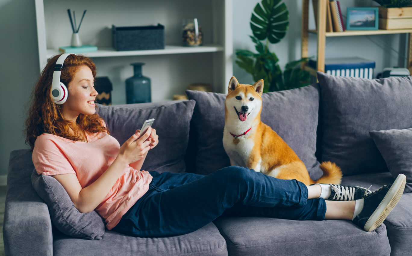 AI assistant for choosing gifts for Media Expert stores